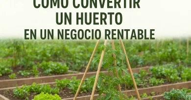 Cómo convertir un huerto en un negocio rentable